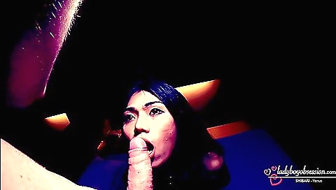 Ladyboy Obsession – Venus 2 – Svelte Shibari Femboy Gets Raw Lovin