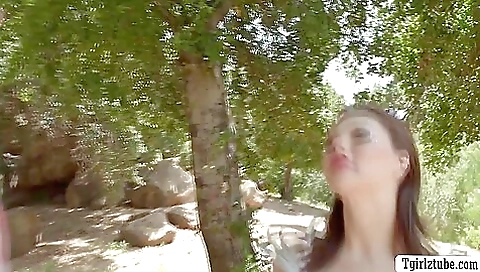 Big ass brunette girl is getting a blowjob from a dick